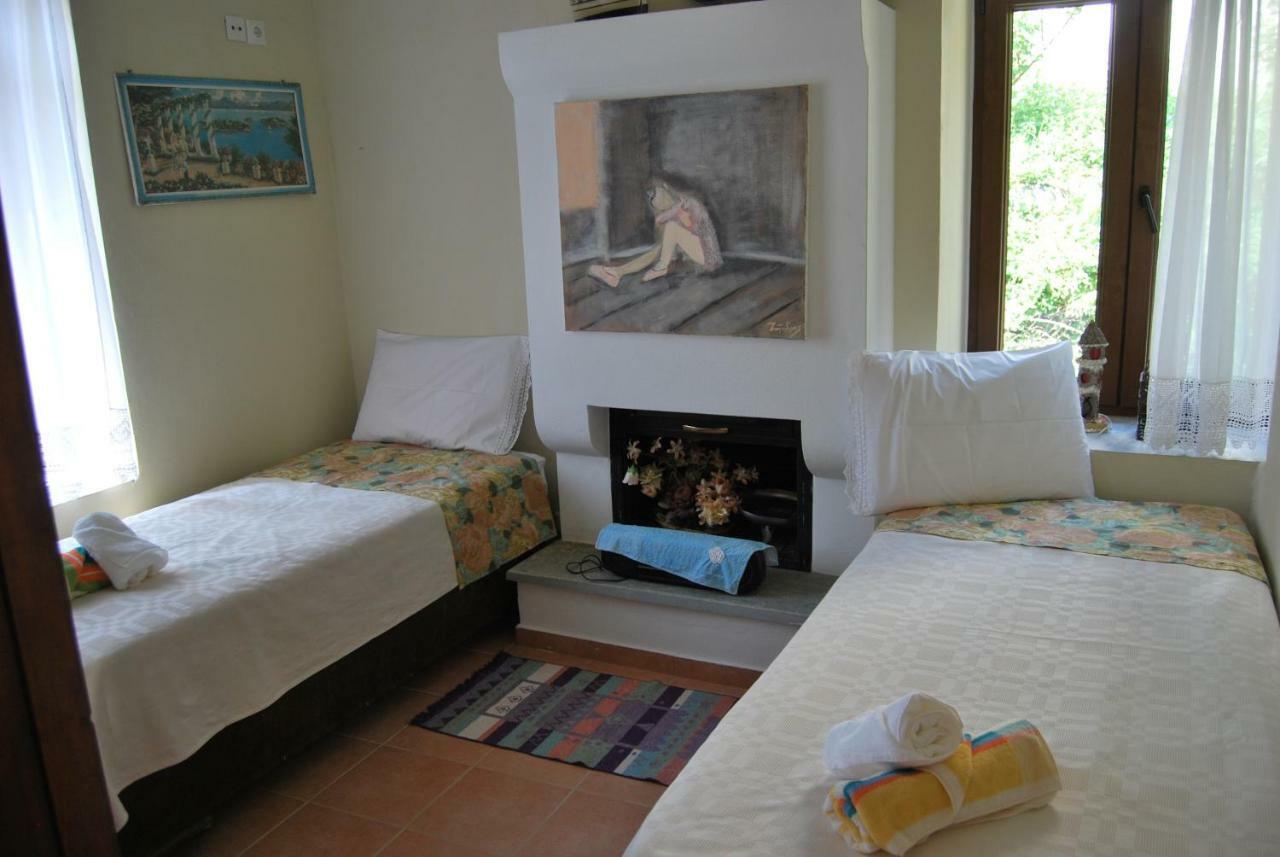 Filyra Apartment Pilion Exterior photo